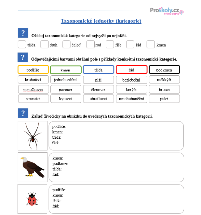 Náhled testu