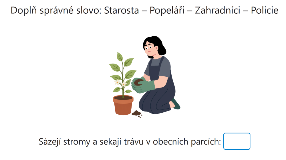 Náhled testu