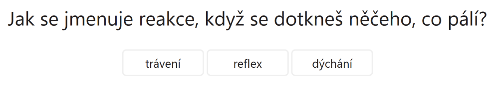Náhled testu