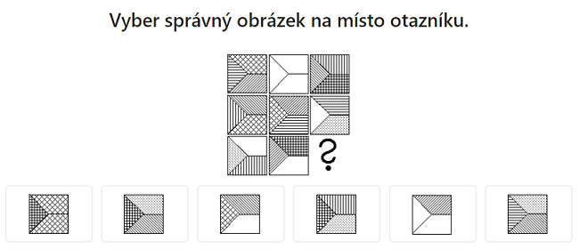 Náhled testu